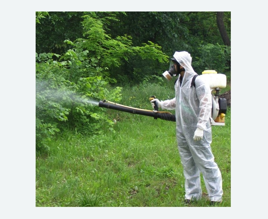 обработка территории от клещей Купчино метро Спб