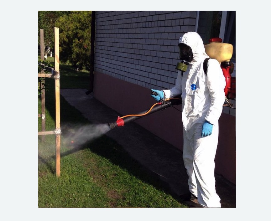 травля клещей на участке Купчино метро Спб