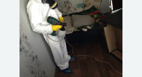 Обработка квартир от насекомых Купчино метро Спб