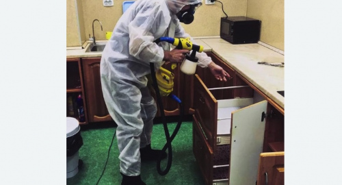 Дезинсекция квартиры. Купчино
