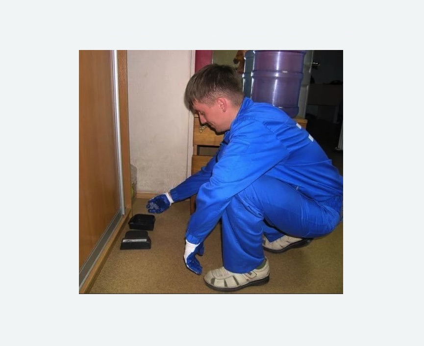 Дератизация крыс Дератизация крыс Купчино метро Спб