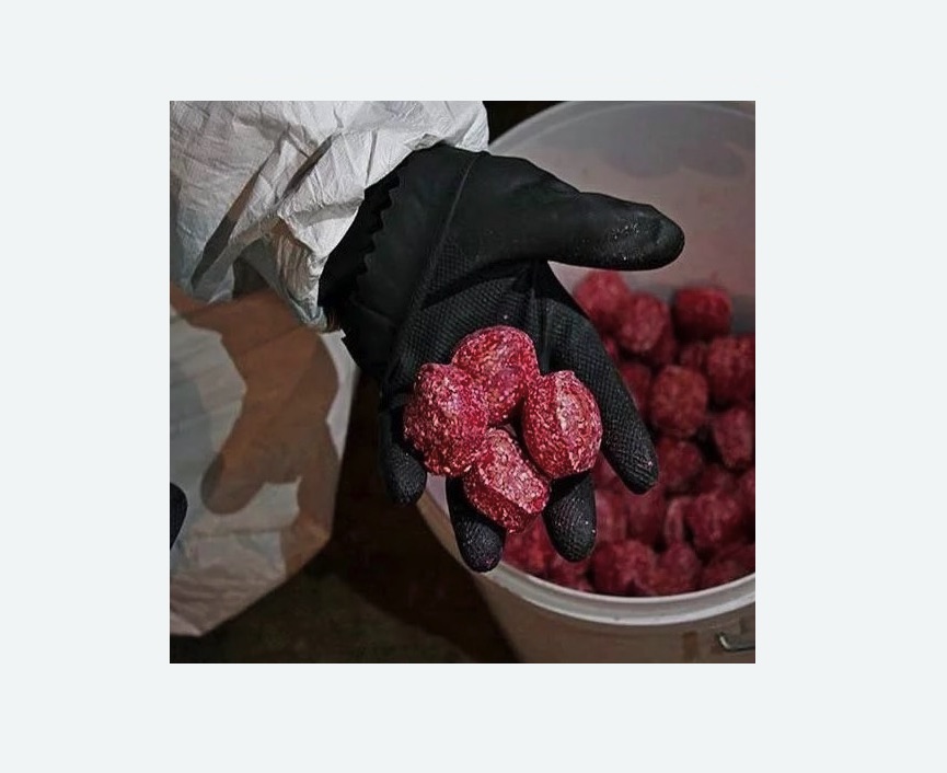 Обработка от крыс Обработка от крыс Купчино метро Спб