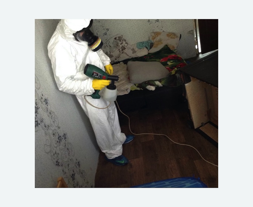 Обработка от насекомых Купчино метро Спб Обработка квартиры от насекомых