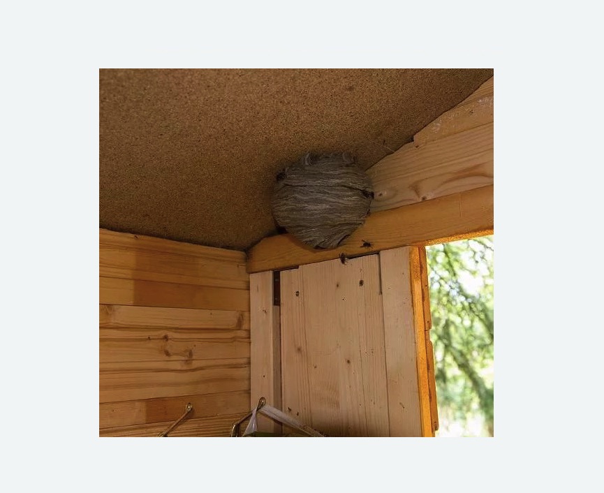 Обработка от ос Купчино метро Спб Обработка от ос