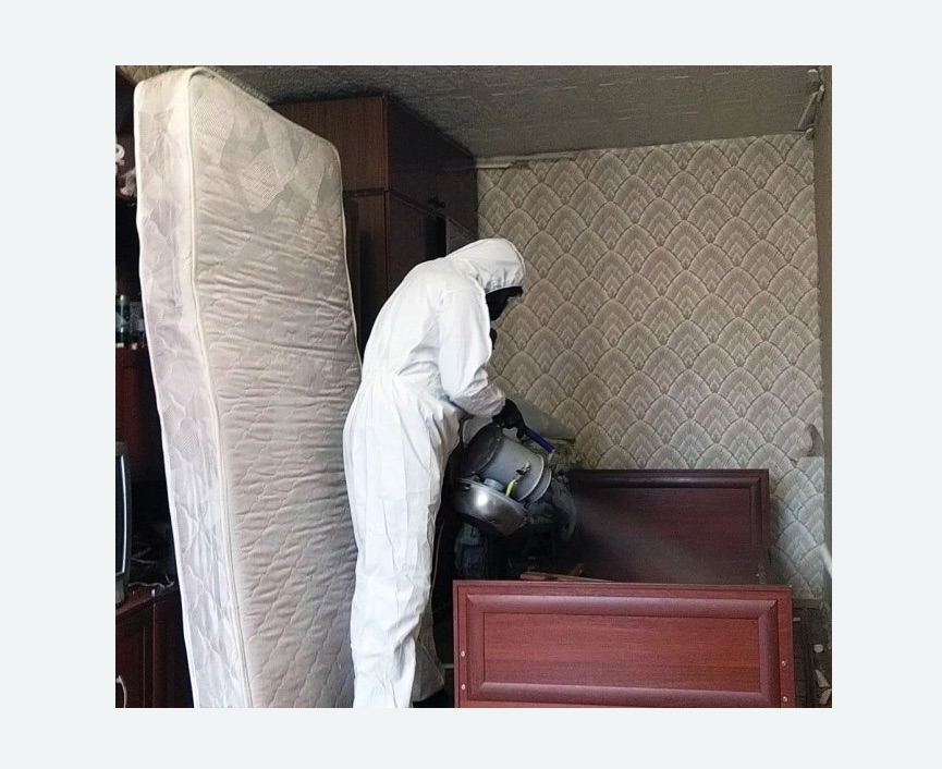 дезинфекция от клопов дезинфекция от клопов Купчино метро Спб