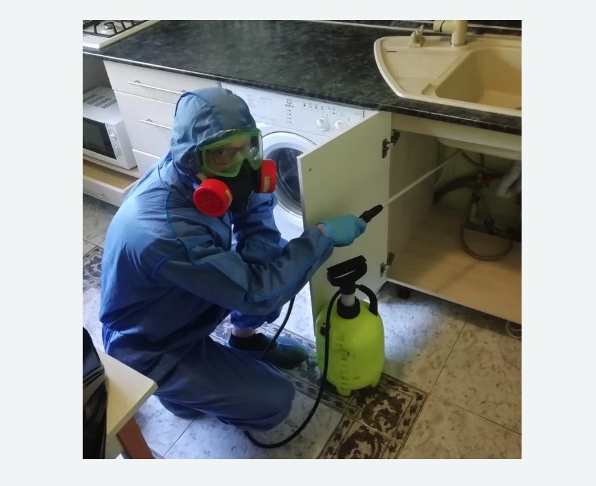 обработка от муравьев в квартире Купчино метро Спб