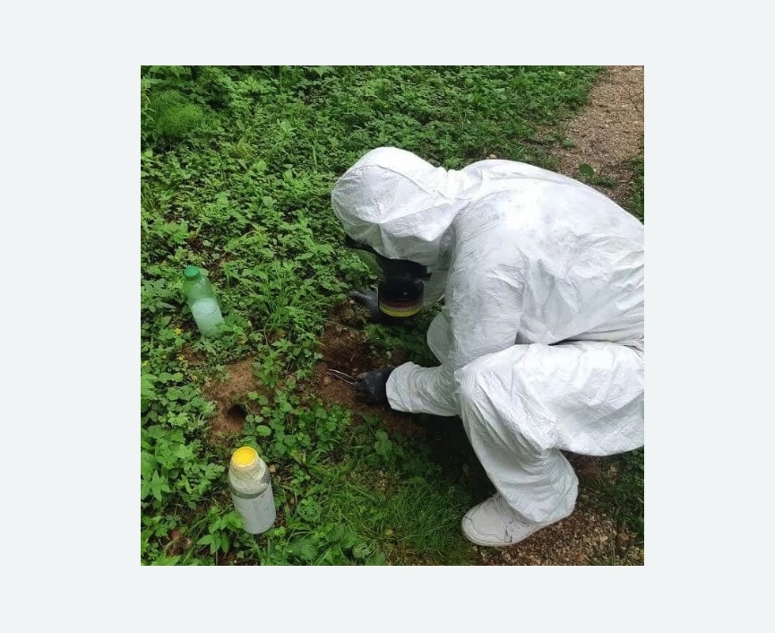 уничтожение кротов на участке уничтожение кротов на участке Купчино метро Спб