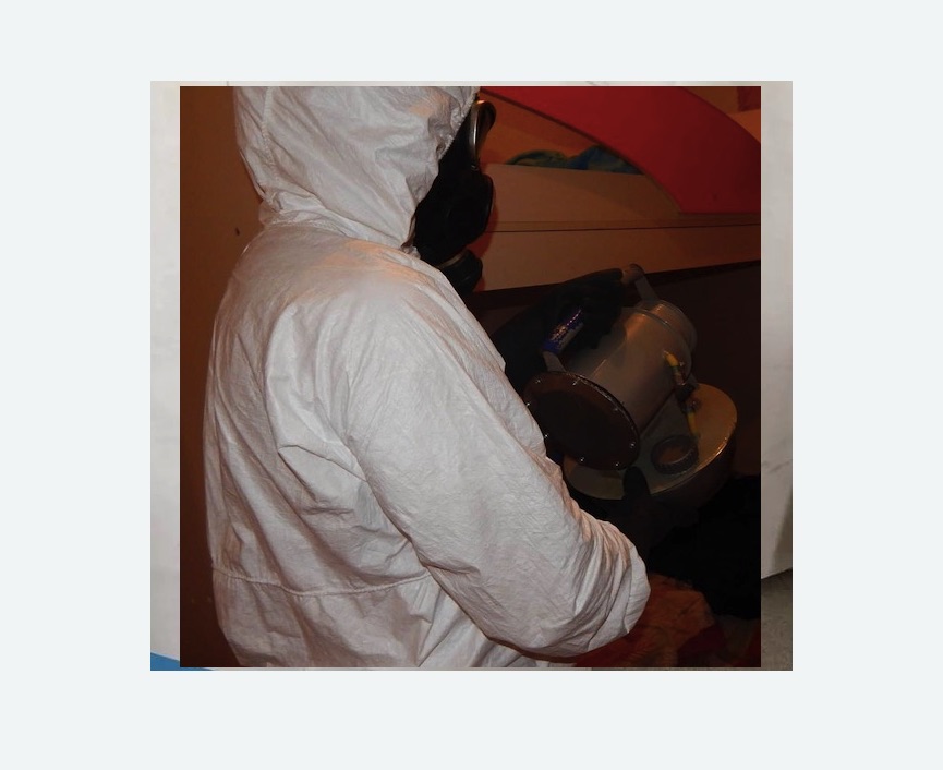 Дезинфекция от муравьев Купчино метро Спб