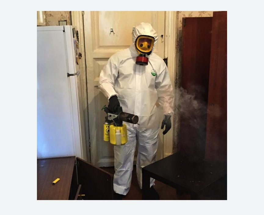 уничтожение муравьев в квартире Купчино метро Спб